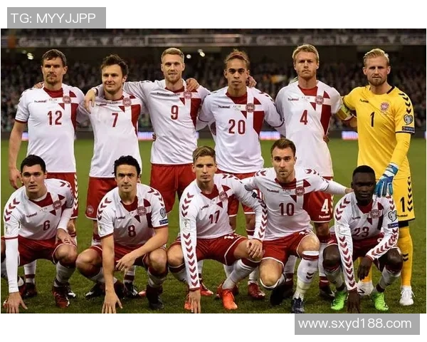 世预赛丹麦对阵波兰全方位战术分析与比赛前瞻 世预赛丹麦对阵波兰全方位战术分析与比赛前瞻