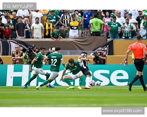 亚松森国民迎战迪尔芬展开激烈对决双方球队全力争胜展现足球魅力与激情 亚松森国民迎战迪尔芬展开激烈对决双方球队全力争胜展现足球魅力与激情