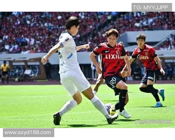 神户船胜利与鹿岛鹿角激战在即谁能在这场对决中笑到最后 神户船胜利与鹿岛鹿角激战在即谁能在这场对决中笑到最后