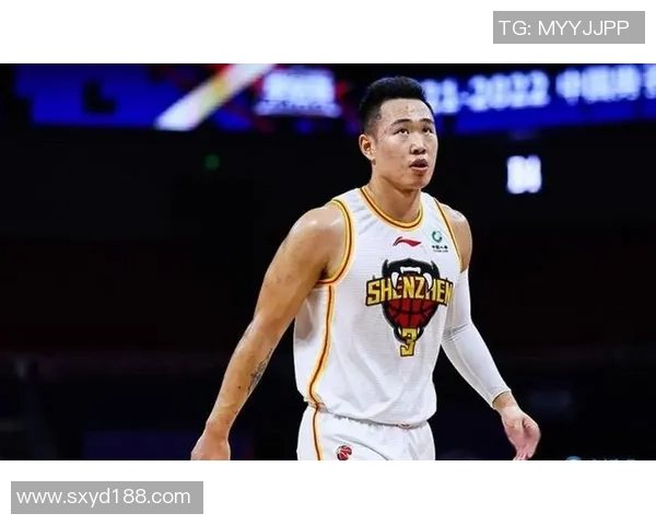 贺希宁：从篮球新星到职业生涯的辉煌之路与未来展望