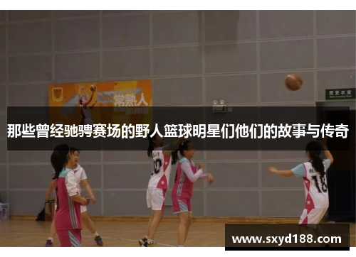 那些曾经驰骋赛场的野人篮球明星们他们的故事与传奇