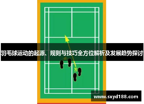 羽毛球运动的起源、规则与技巧全方位解析及发展趋势探讨