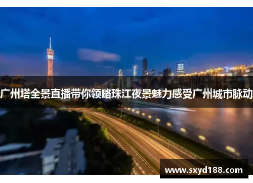 广州塔全景直播带你领略珠江夜景魅力感受广州城市脉动